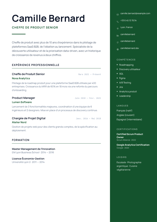 Aperçu du modèle de CV Sidebar Iconographique