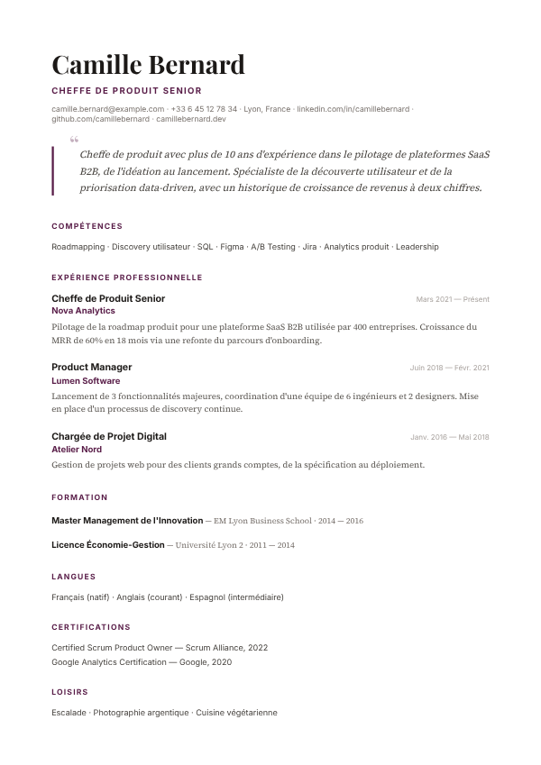 Aperçu du modèle de CV Résumé Cité