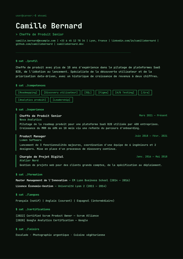 Aperçu du modèle de CV Terminal