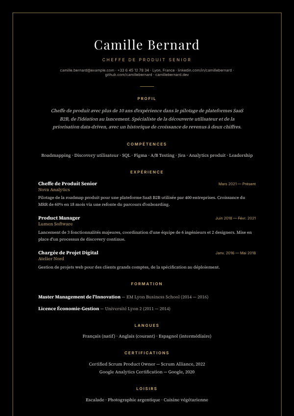 Modèle de CV Boutique