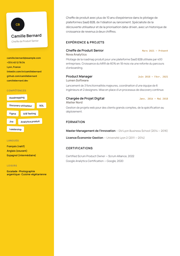 Modèle de CV Carte de Visite